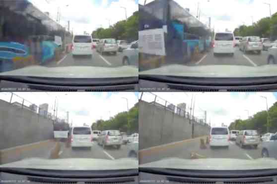 DOTr, LTFRB are going after reckless PUB on EDSA bus lane image