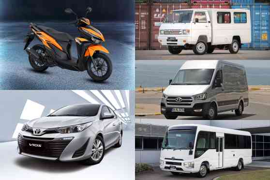 What can you drive under the new license codes? image