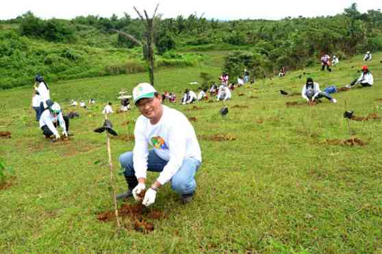 Honda Foundation revisits Caliraya for Reforestation Program image