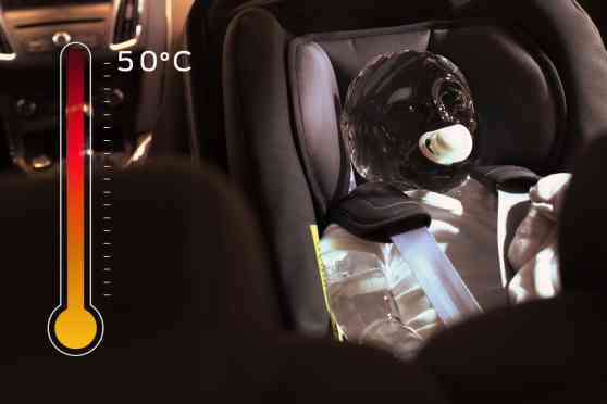 Ford video reveals dangers of leaving kids, pets in parked cars image