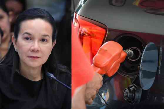 Senator files bill to suspend gas and diesel excise tax image