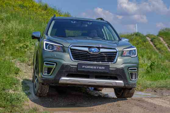 Subaru spreads the holiday cheer with December deals image