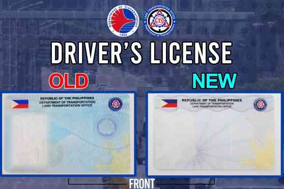Look: LTO reveals new driver's license design image