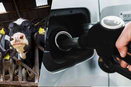 Dairy driven: Milk-based ethanol fuel being developed in US image