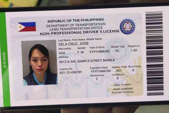LTO rolls out e-Driver&rsquo;s License via LTMS Portal image