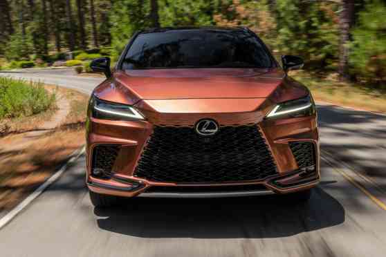 Experience Lexus Holiday Pop-Up workshop from Nov 30 &ndash; Dec 1 image