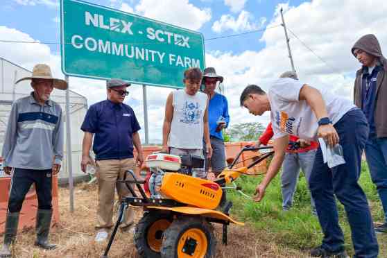 NLEX-SCTEX Community Farm: Growing food security & livelihoods image