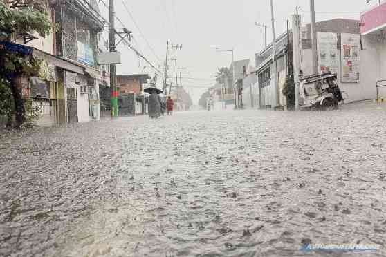 PBBM's flood control project website received almost 2k submissions image