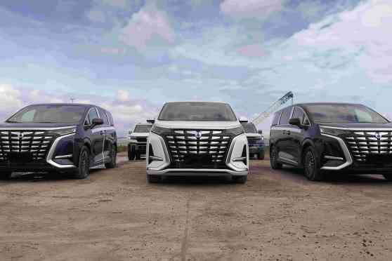 BYD premium auto brand Denza enters Philippine market image