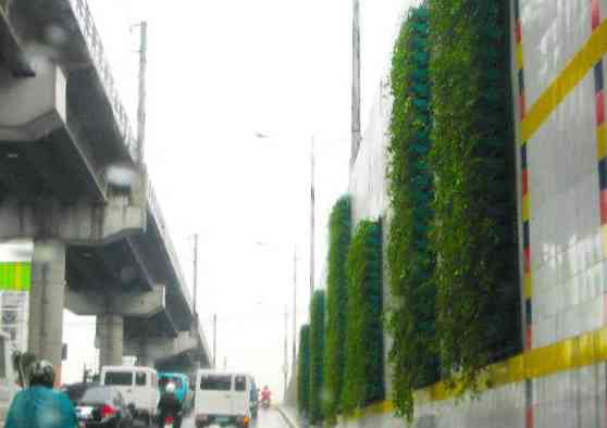 MMDA makes EDSA greener with vertical gardens image