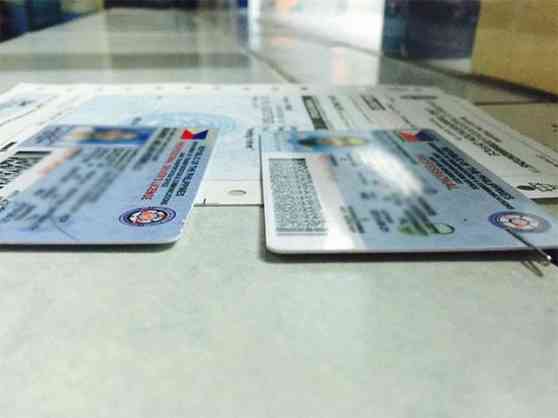 LTO receives plastic cards; begins issuing new driver's licenses image