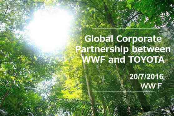 Toyota forms five-year partnership with World Wildlife Fund image