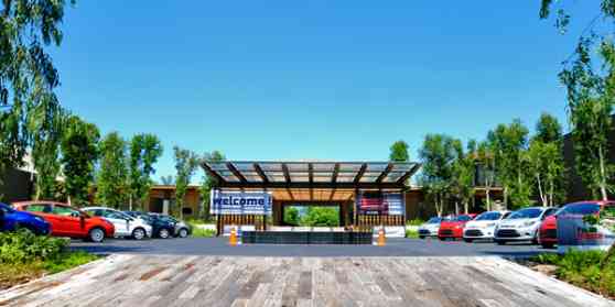 A Festive Driving Experience image