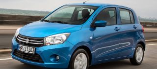 September is a good month to get a Suzuki image