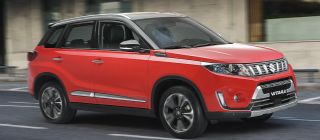 September is a good month to get a Suzuki image