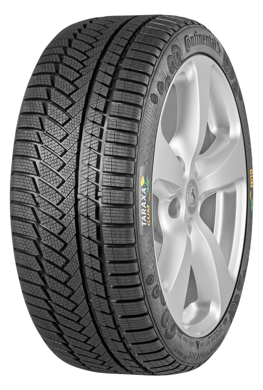 Continental scientists receive award for dandelion tire research image