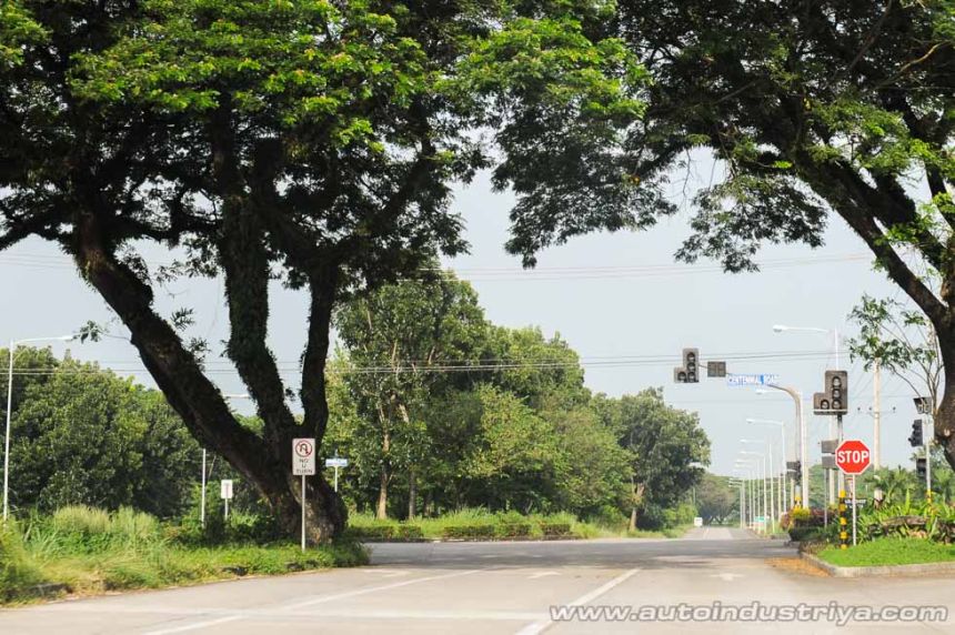 Common road markings and what they mean image