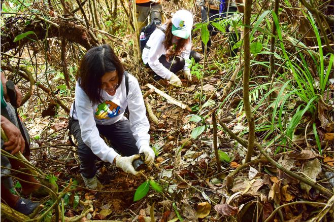 Honda PH plants 5,000 trees to help restore damaged rainforests image