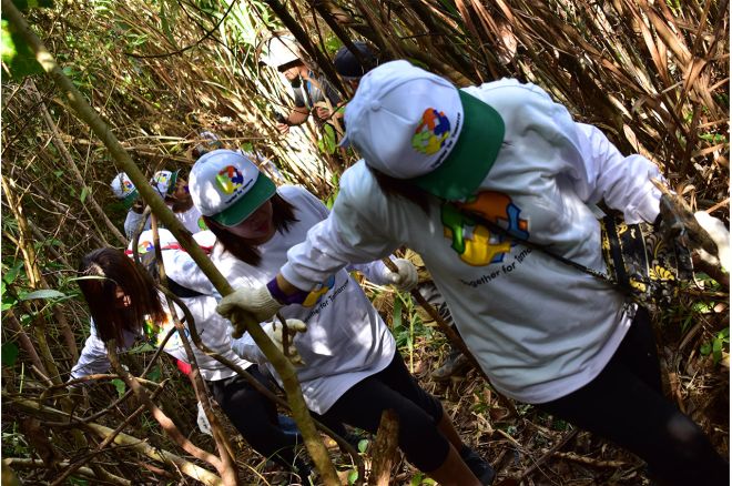 Honda PH plants 5,000 trees to help restore damaged rainforests image