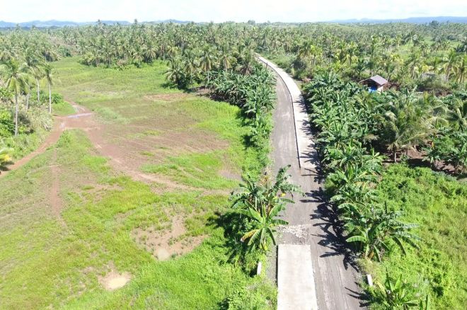 DPWH new access road La Union image