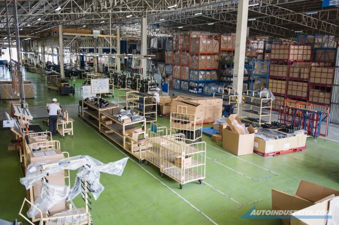 Plant and Thailand image