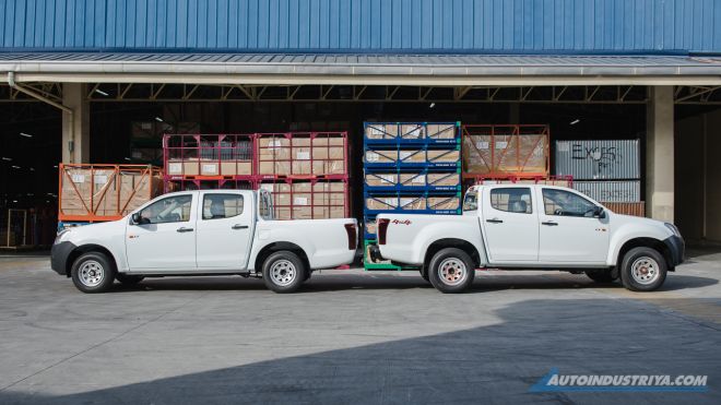 Plant and Thailand image