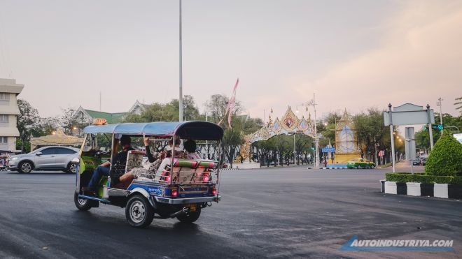 Plant and Thailand image