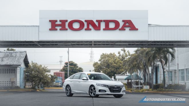 Plant and Thailand image