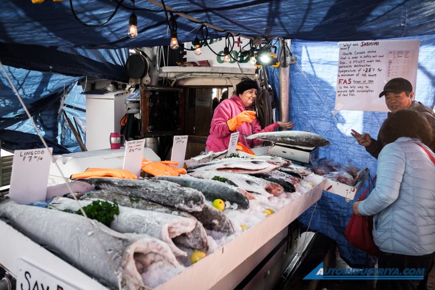 Exploring urban Vancouver in a hybrid image
