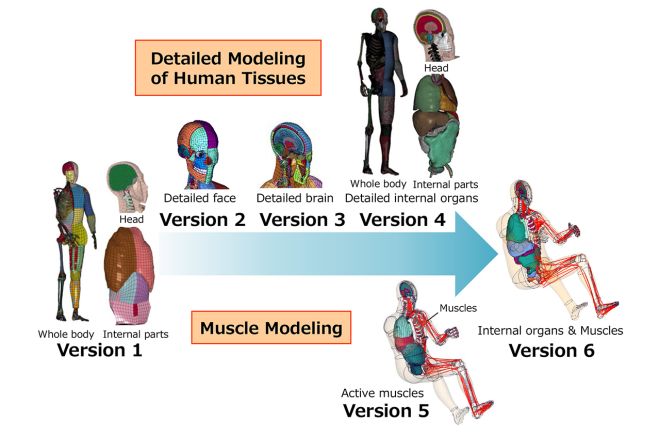 Toyota to make virtual crash test dummy available for all image