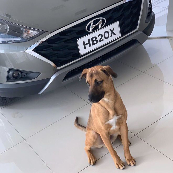 Meet the world&rsquo;s friendliest car salesman image
