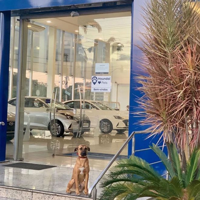 Meet the world&rsquo;s friendliest car salesman image