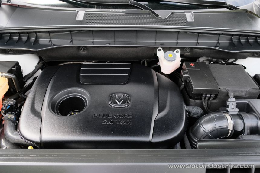 Shangan Halsvin and the gang image