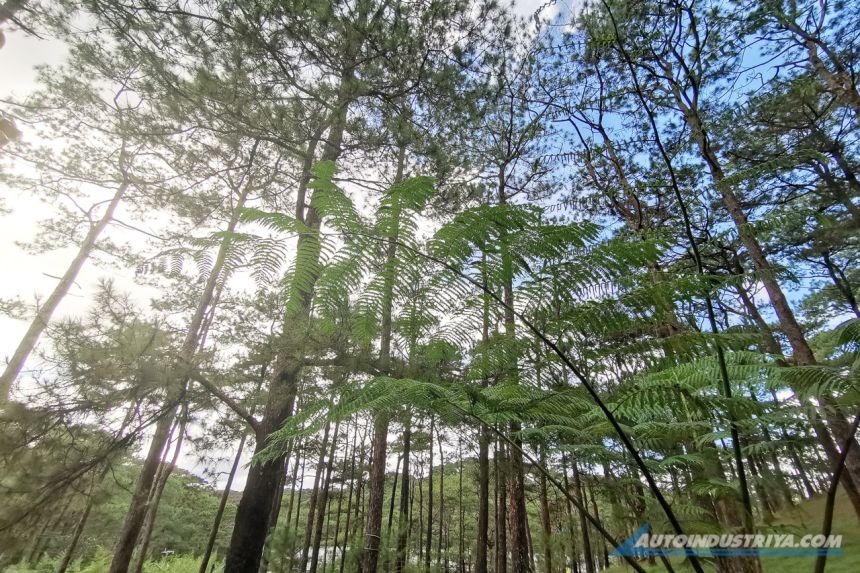 Safe Trips with Nissan: What to expect and prepare for a Baguio drive image
