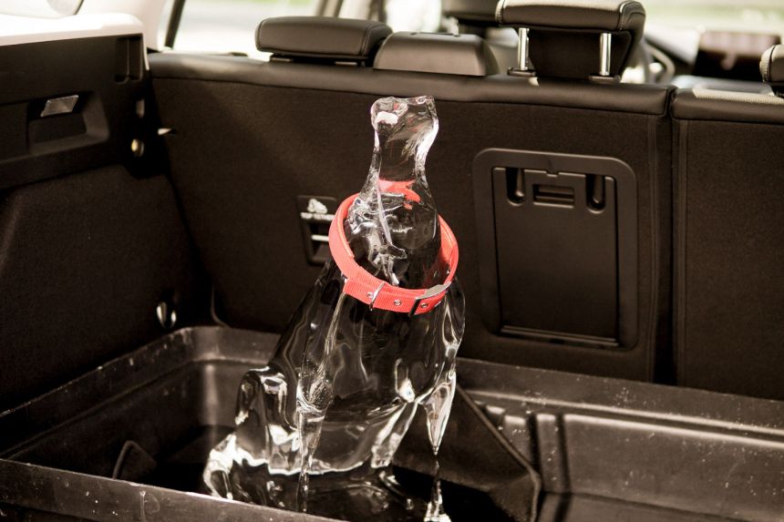 Ford shows dangers of leaving kids, pets in parked hot cars image