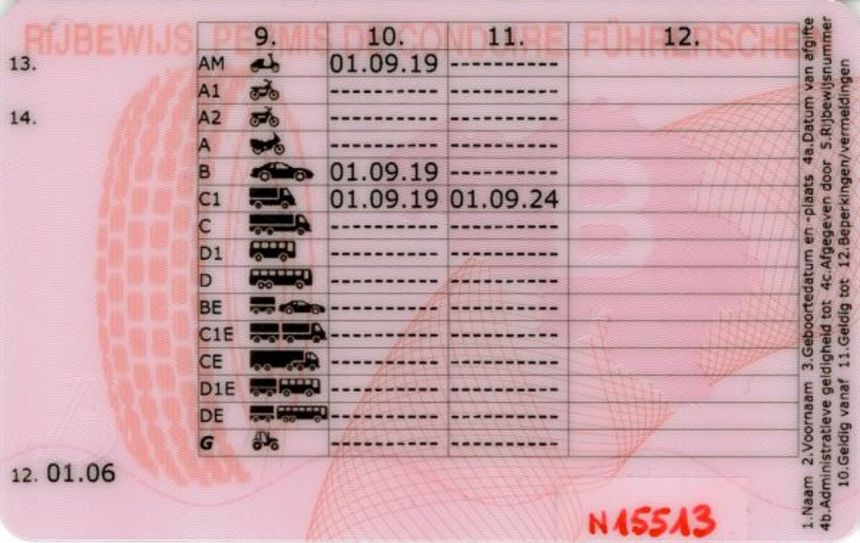 Here&rsquo;s a list of countries with DLs valid for 10 or more years image