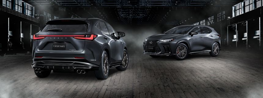 Style up the 2022 Lexus NX with TRD, Modellista parts image