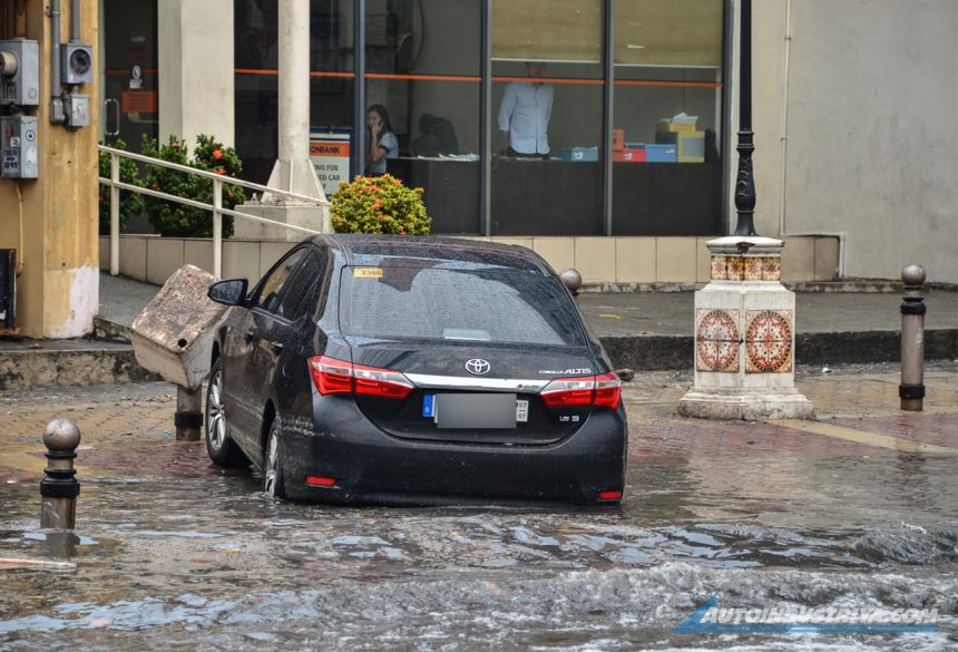 Comprehensive vs. TPL image