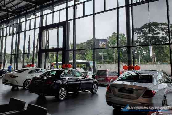 Solon wants car dealers to plant 10 trees for every car sold Solon wants car dealers to plant 10 trees for every car sold image