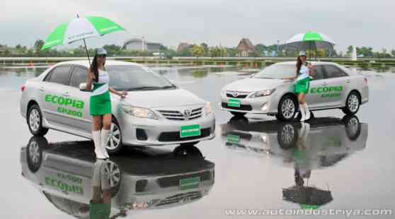 Testing the new Bridgestone Ecopia at the TBPG Testing the new Bridgestone Ecopia at the TBPG image