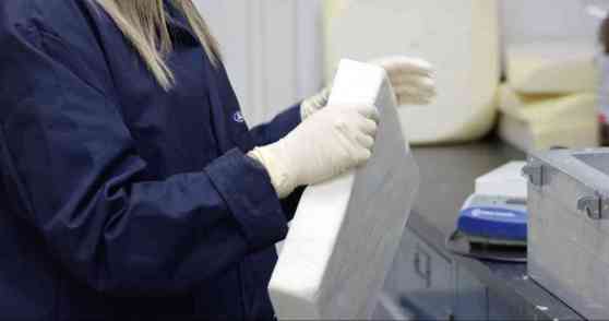 Ford testing eco-friendly foam and plastic for auto use Ford testing eco-friendly foam and plastic for auto use image