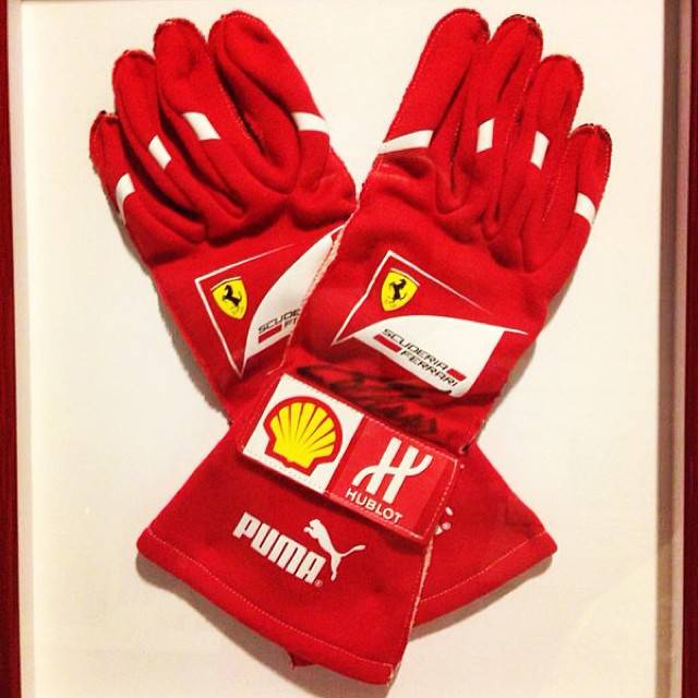 Fernando Alonso gloves