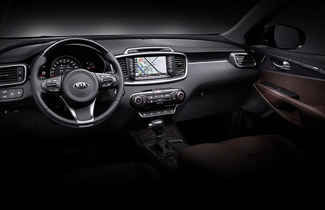 Steering wheel and center console of 2015 Kia Sorento