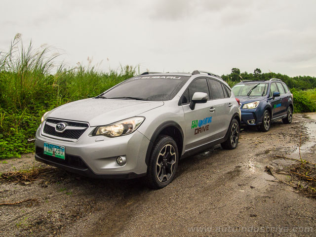 Subaru XV and Forester in the wild