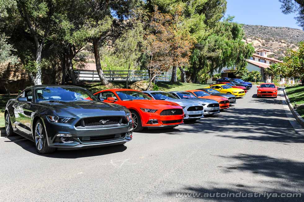 Ford Mustang fleet at Hummingbird Nest