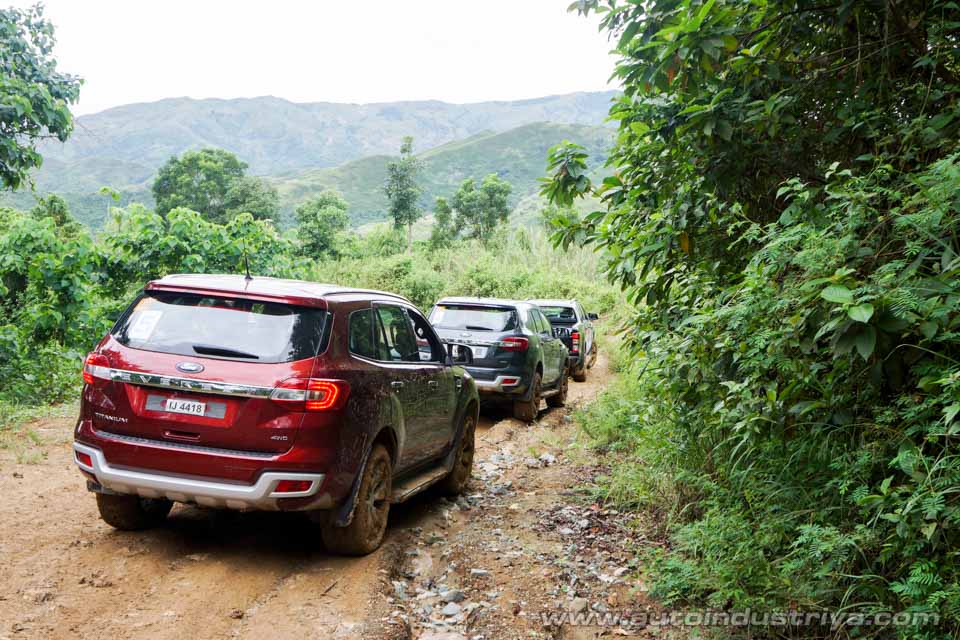 Completely stock Ford Everests and Rangers taking on the trail