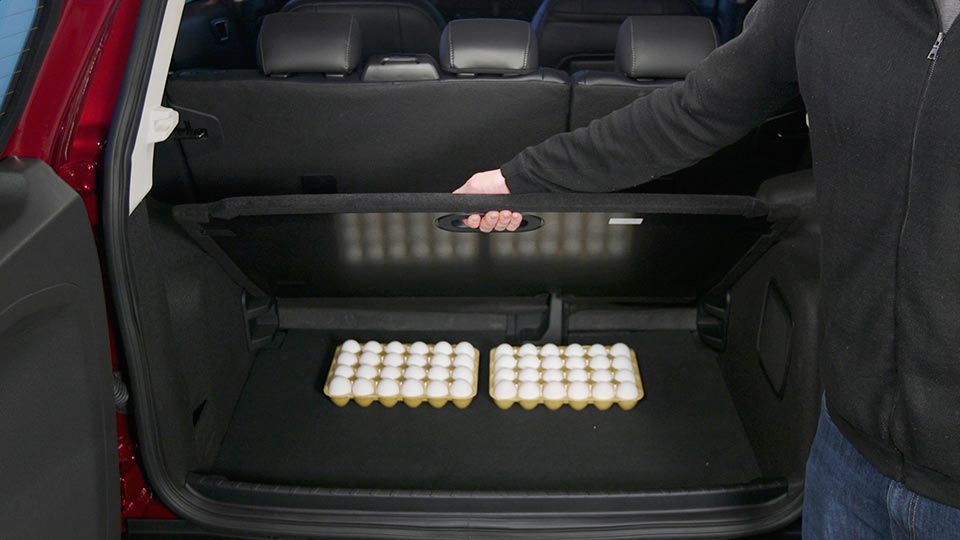 2018 Ford EcoSport features cargo shelf inspired by bees