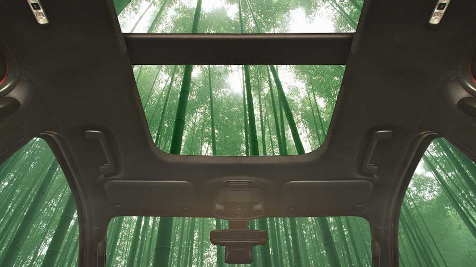 Ford studying bamboo as next-gen raw material 