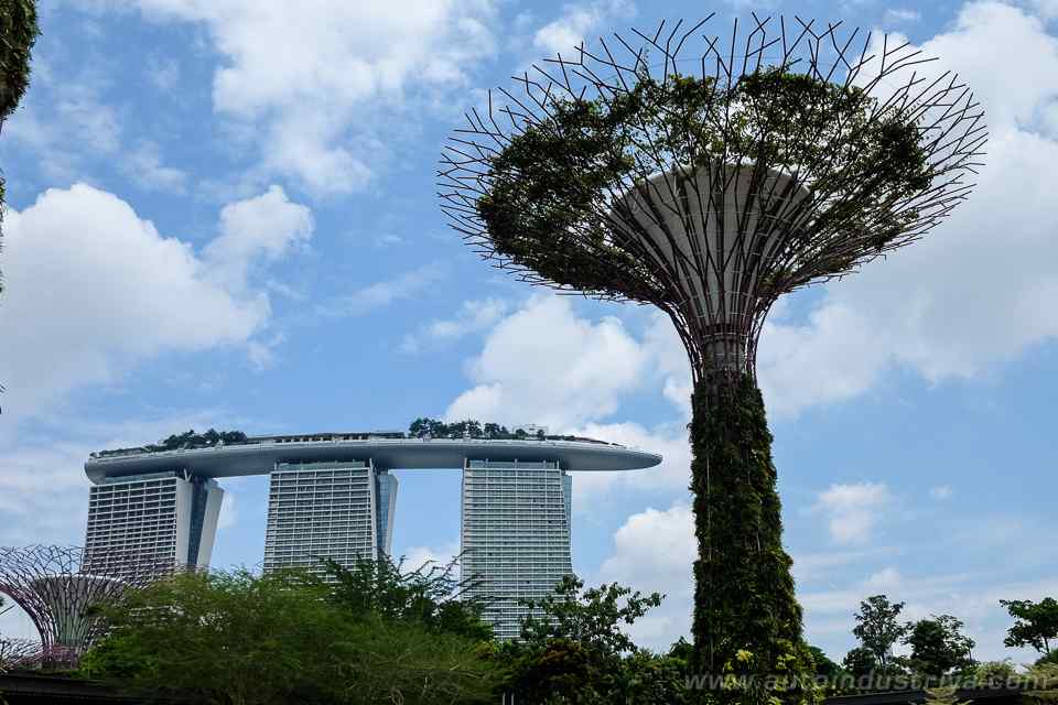 Makan Macan in Singapore