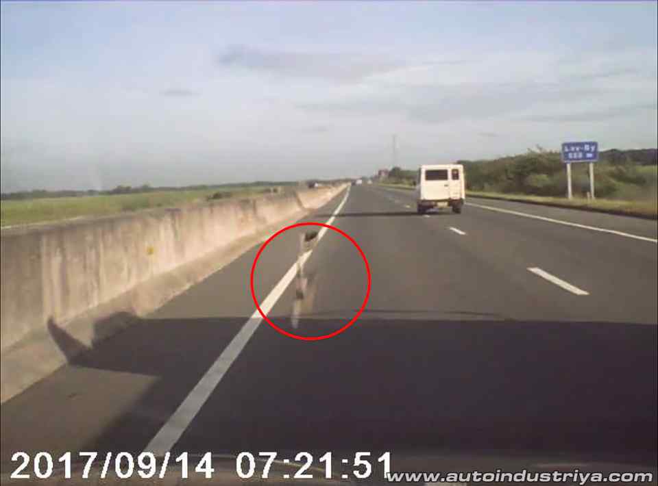 Shattered Glass: What to do when something hits your windshield